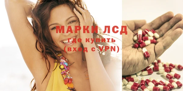 дурь Вяземский