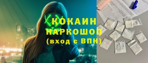 прущие грибы Вязники