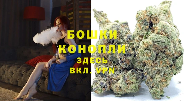 дурь Вяземский