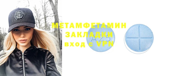 прущие грибы Вязники