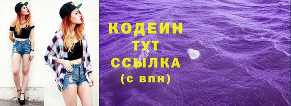Альфа ПВП Аша