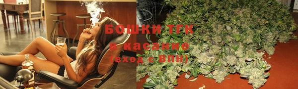 прущие грибы Вязники