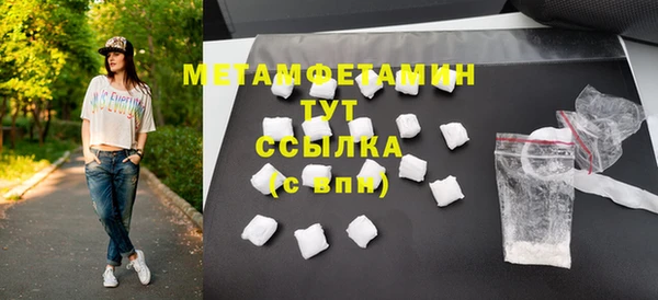 прущие грибы Вязники